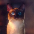 whisker