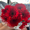 Anna_10